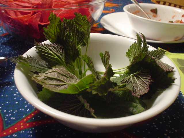 DSC03714nettles.JPG