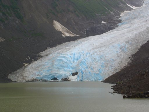 canada-bearglacier.jpg