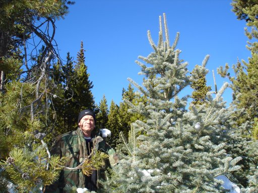 Dave, the intrepid tree hunter