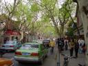 The tree-lined boulevards of a European Shanghai