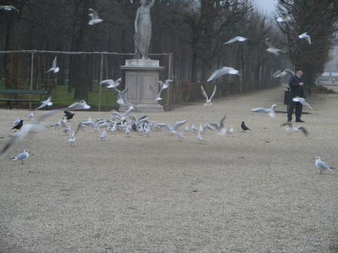d01c.jpg