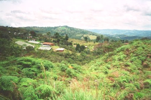 Green undulating mountains of Santa Elena