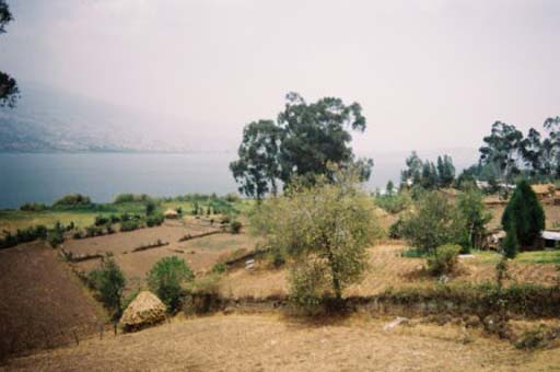 A glimpse of Lago de San Pablo
