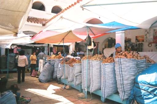 Central market of Sucre