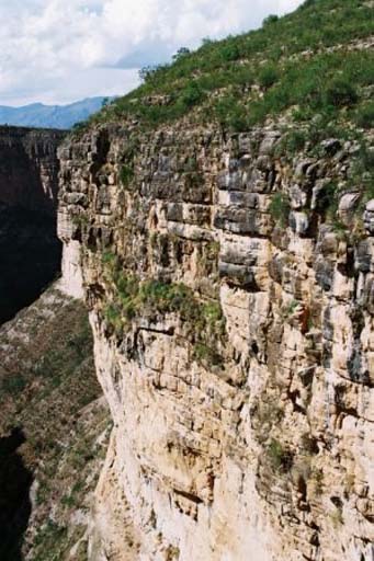 Canyon Wakasenga