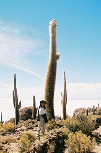 Look how TALL the cactus is!