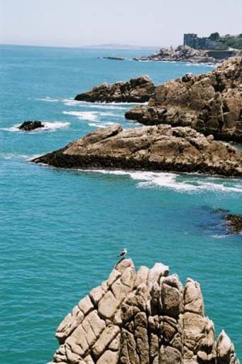 Stunning coastline of Vina del Mar