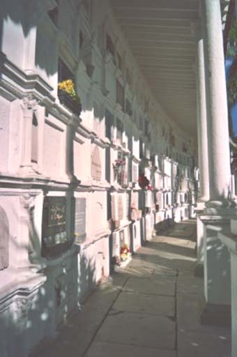 Cemeterio de San Pedro