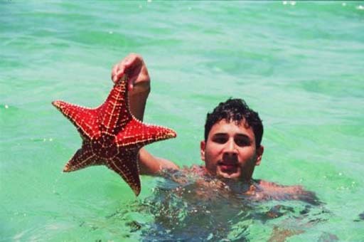 Giant starfish!!