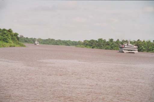 Cruising down the Amazon River
