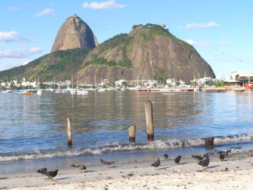 View of the stunning Sugar Loaf Mountain from Praia Botafogo