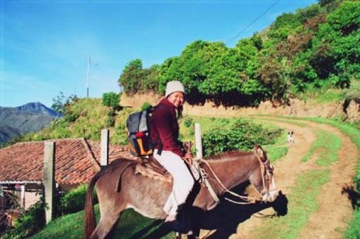 Starting our 4-hour mule ride up to 4,100m