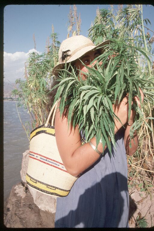 Does anyone recognise this Chilian girl.JPG