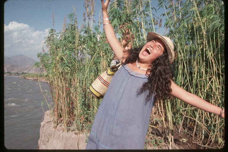 Hallelujah - crops grown for hemp.JPG