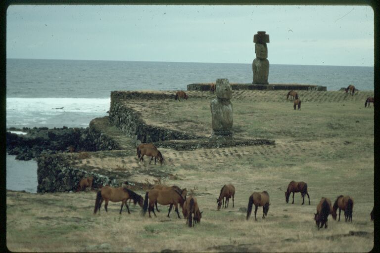 Malcom Fraser statues (Auzie joke).JPG