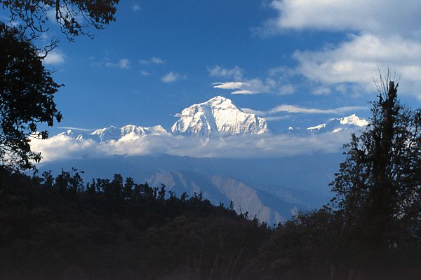 dhaulagiri_seen_from_ghorapani.jpg